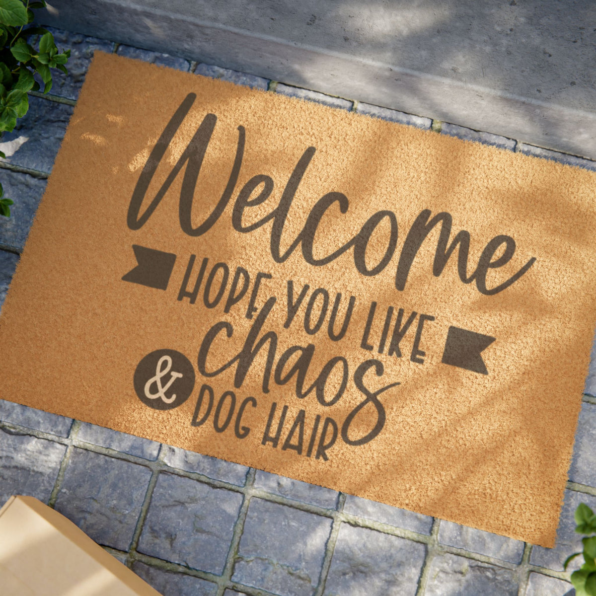 Doormat - "Welcome Hope You Like Chaos & Dog Hair" Funny Pet Lover Coir Door Mat