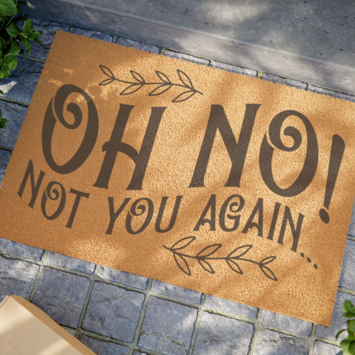 Doormat – "Oh No! Not You Again" Funny Welcome Mat, Humorous Entryway Décor for Homes & Gifts